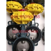 原装正品 德国依博罗EBRO气动扇形蝶阀  价格优惠