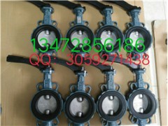 原装正品 德国依博罗EBRO气动扇形蝶阀 价格优惠图4