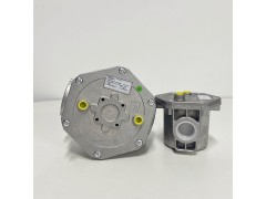 意大利Pietro Fiorentini菲奥106系列燃气过滤器图3