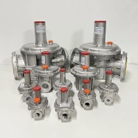 意大利Fiorentini Minireg（菲奥）301系列燃气调压器