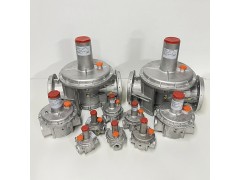 意大利Fiorentini Minireg（菲奥）301系列燃气调压器图2