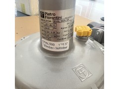 意大利Fiorentini Minireg（菲奥）DIVAL500系列减压阀图2