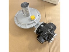 意大利Fiorentini Minireg（菲奥）DIVAL500系列减压阀图3